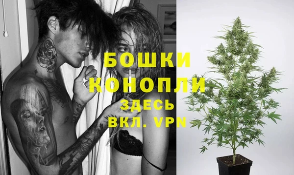 стаф Армянск